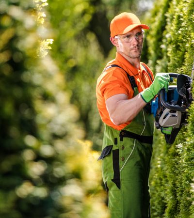 Renove seu jardim com estas máquinas e ferramentas