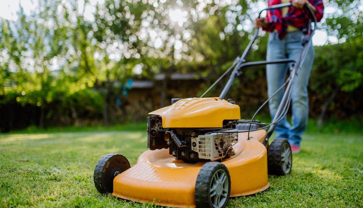 Confira um guia completo sobre cortador de grama e não tenha dúvidas na hora de escolher o equipamento certo para deixar seu jardim lindo