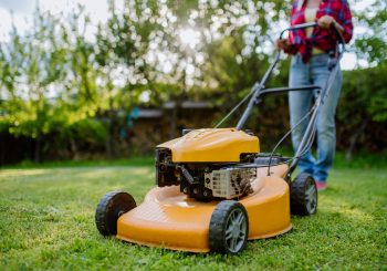 Confira um guia completo sobre cortador de grama e não tenha dúvidas na hora de escolher o equipamento certo para deixar seu jardim lindo