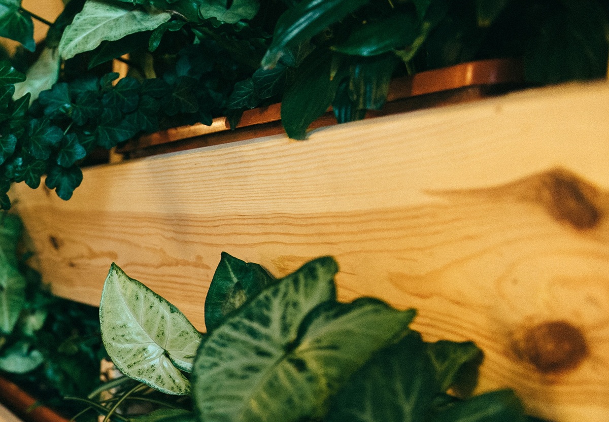 jardim-vertical-disposicao-dos-vasos