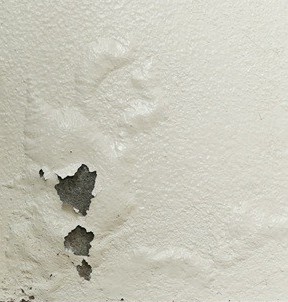 Tinta descascando pode ser sinal de infiltração