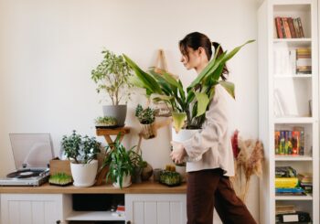 Quer dar mais vida ao lar? Conheça as melhores plantas para apartamento, espécies fáceis de cuidar, que decoram e transformam os ambientes